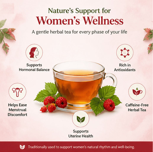 Premium Red Raspberry Leaf Tea: What to Look For Before You Buy 